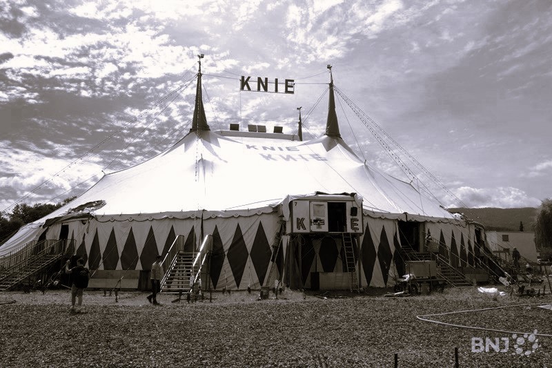 Cirque KNIE