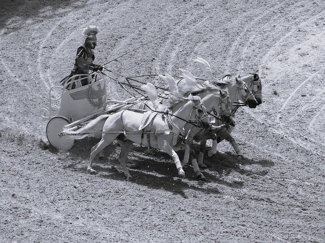 Course de char